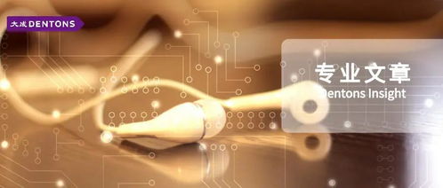 在線音頻行業(yè)移動互聯(lián)網(wǎng)應(yīng)用程序的刑事合規(guī)分析研究——聚焦研發(fā)與維護(hù)環(huán)節(jié)